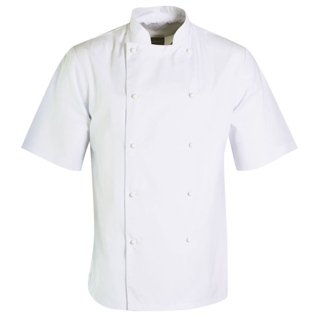 Chefs Jacket Short Sleeves